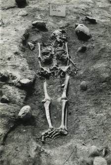 Grave 3-88, burial - skeleton in burial cut