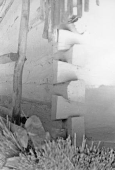 Log frame forming a 