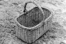 Wicker basket for shopping, mushrooms