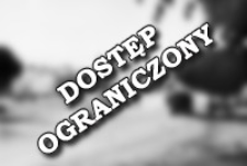 [The market town of Brzostek] [An iconographic document]