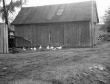 A wooden plank walls barn