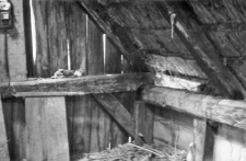 A barn, an attic