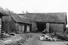 A barn and a pigsty