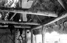 A fragment of a roofs structure