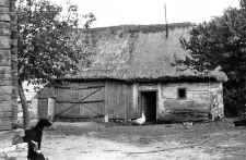 A pigsty, two-mow a barn and brick basements