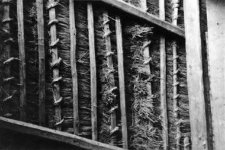 The method of attaching straw sheaves on a roof of a barn