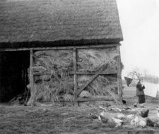 A half-timbered structure of a barn