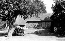 A fragment of a farm