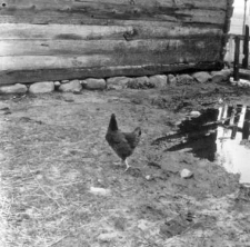 A barns foundation