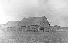 A barn and a pigsty