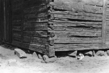 A fragment of a barn