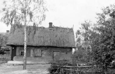 Thatched roof