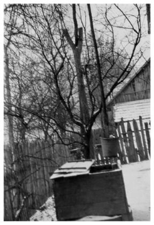 A well with a shadoof