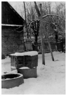 A well with a shadoof