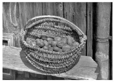 A basket