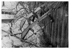 A working sleigh