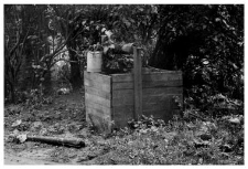 A well with a crankshaft
