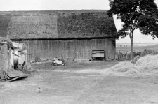A barn