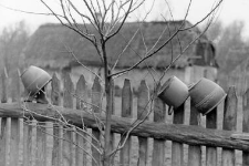 Clay pots