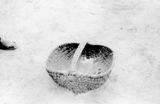 A basket