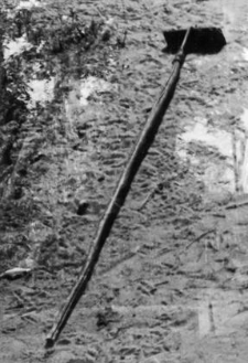 A tool used for baking a bread