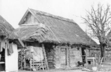 Wooden building