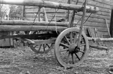 Wagon