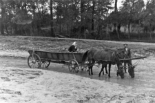 Wagon