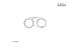 pendant (Gorszewice) - chemical analysis