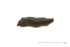 Chocolate' flint : 2D documentation