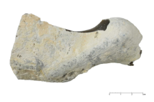 Flint from Spiennes : 2D documentation