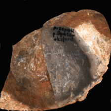 Jurassic flint : 3D documentation