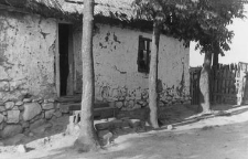 Cottage fragment