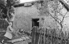 Cottage fragment