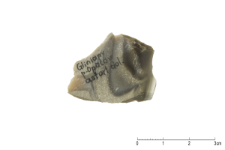 Banded flint : 3D documentation