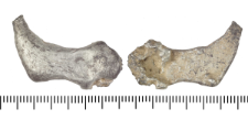 Silver clump