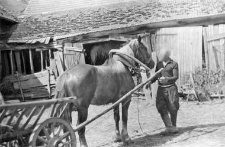 Zaprzęg jednokonny, hołoble, duha