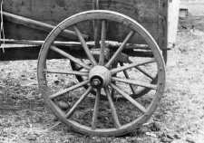 Wagon's wheel