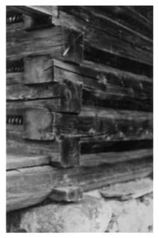 Fragment of a log construction