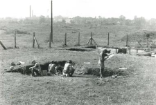 Fields works (S. Nowińska)