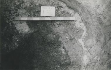 V level of the filling of burrow 20