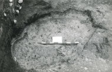 Bottom of the burrow 20