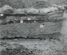 Northern profile of the trench fragment, eastern part