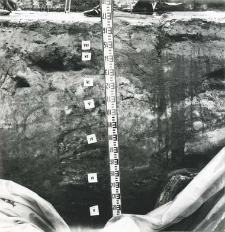 fragment of the profile of the trench western wall with places of geological sampling marked