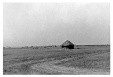 Haystack