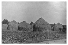 Haystack