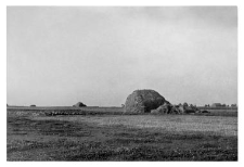 Haystack
