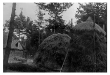 Hayrack