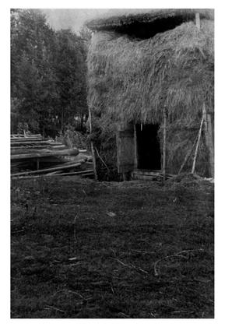 Hayrack