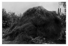 Haystack